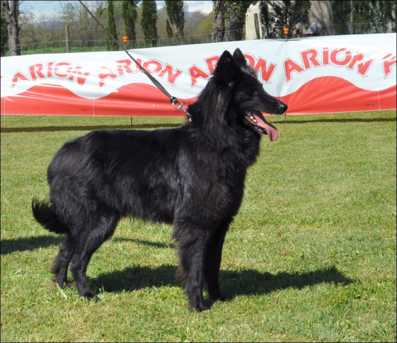 24-jezabel des etancssauvages